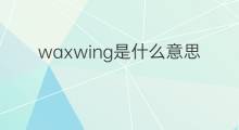 waxwing是什么意思 waxwing的中文翻译、读音、例句