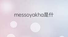 messoyakha是什么意思 messoyakha的中文翻译、读音、例句
