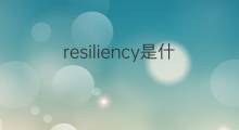 resiliency是什么意思 resiliency的中文翻译、读音、例句