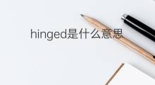 hinged是什么意思 hinged的中文翻译、读音、例句