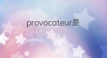 provocateur是什么意思 provocateur的中文翻译、读音、例句