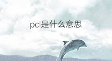 pcl是什么意思 pcl的中文翻译、读音、例句