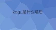 kagu是什么意思 kagu的中文翻译、读音、例句