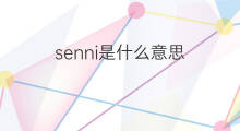 senni是什么意思 senni的中文翻译、读音、例句