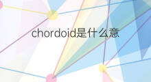 chordoid是什么意思 chordoid的中文翻译、读音、例句