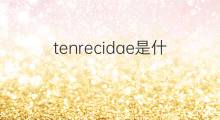tenrecidae是什么意思 tenrecidae的中文翻译、读音、例句