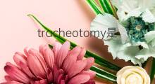 tracheotomy是什么意思 tracheotomy的中文翻译、读音、例句