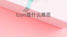 tuyn是什么意思 tuyn的中文翻译、读音、例句