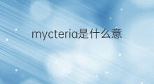 mycteria是什么意思 mycteria的中文翻译、读音、例句