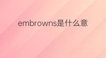 embrowns是什么意思 embrowns的中文翻译、读音、例句