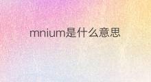 mnium是什么意思 mnium的中文翻译、读音、例句