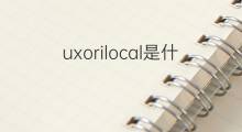 uxorilocal是什么意思 uxorilocal的中文翻译、读音、例句