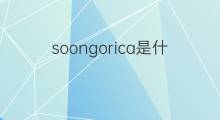 soongorica是什么意思 soongorica的中文翻译、读音、例句