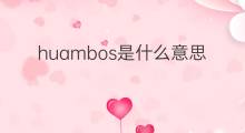 huambos是什么意思 huambos的中文翻译、读音、例句