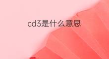 cd3是什么意思 cd3的中文翻译、读音、例句