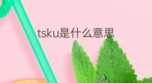 tsku是什么意思 tsku的中文翻译、读音、例句
