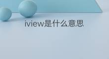 iview是什么意思 iview的中文翻译、读音、例句
