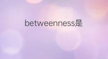betweenness是什么意思 betweenness的中文翻译、读音、例句