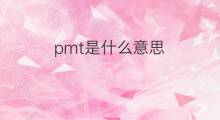 pmt是什么意思 pmt的中文翻译、读音、例句
