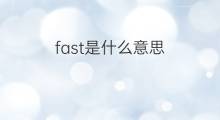 fast是什么意思 fast的中文翻译、读音、例句