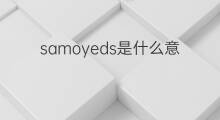 samoyeds是什么意思 samoyeds的中文翻译、读音、例句