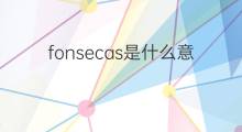 fonsecas是什么意思 fonsecas的中文翻译、读音、例句