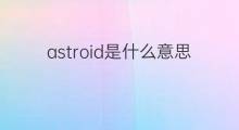 astroid是什么意思 astroid的中文翻译、读音、例句