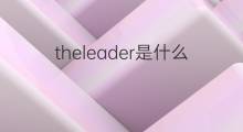 theleader是什么意思 theleader的中文翻译、读音、例句