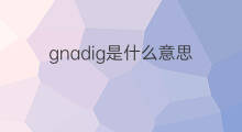 gnadig是什么意思 gnadig的中文翻译、读音、例句