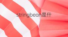 stringbean是什么意思 stringbean的中文翻译、读音、例句