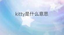 kitty是什么意思 kitty的中文翻译、读音、例句