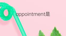 appointment是什么意思 appointment的中文翻译、读音、例句