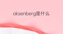 oksenberg是什么意思 oksenberg的中文翻译、读音、例句