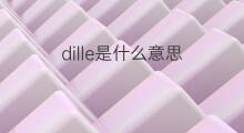 dille是什么意思 dille的中文翻译、读音、例句
