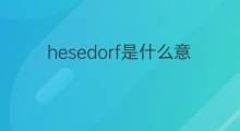 hesedorf是什么意思 hesedorf的中文翻译、读音、例句