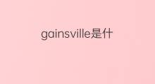 gainsville是什么意思 gainsville的中文翻译、读音、例句