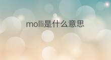 molli是什么意思 molli的中文翻译、读音、例句