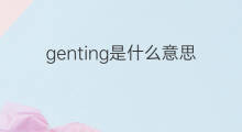 genting是什么意思 genting的中文翻译、读音、例句
