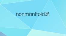 nonmanifold是什么意思 nonmanifold的中文翻译、读音、例句