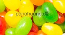 pariahuanca是什么意思 pariahuanca的中文翻译、读音、例句