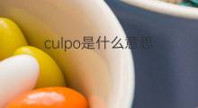 culpo是什么意思 culpo的中文翻译、读音、例句