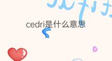 cedri是什么意思 cedri的中文翻译、读音、例句