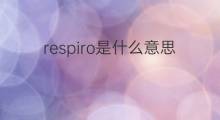 respiro是什么意思 respiro的中文翻译、读音、例句
