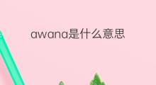 awana是什么意思 awana的中文翻译、读音、例句