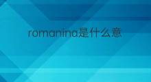 romanina是什么意思 romanina的中文翻译、读音、例句