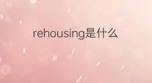 rehousing是什么意思 rehousing的中文翻译、读音、例句