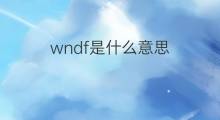 wndf是什么意思 wndf的中文翻译、读音、例句
