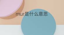 mur是什么意思 mur的中文翻译、读音、例句
