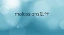 molossians是什么意思 molossians的中文翻译、读音、例句