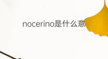 nocerino是什么意思 nocerino的中文翻译、读音、例句